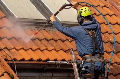 Démoussage et hydrofuge de toiture à Viverols